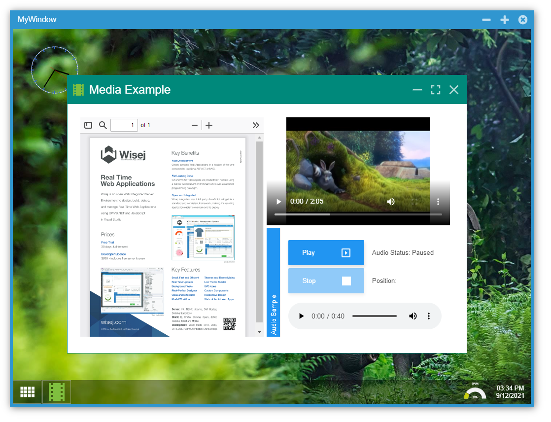 IFramePanel displaying embedded Wisej.NET demo application